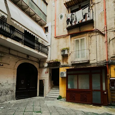 Panoramic Centre In Casa de hóspedes 3*