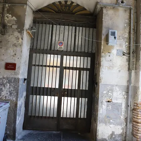 Panoramic Centre In 게스트하우스